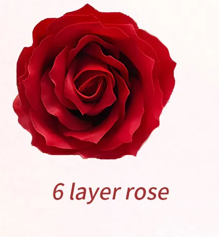 6 layer rose